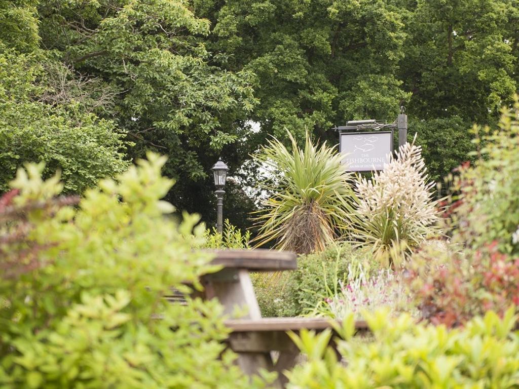 The Fishbourne Bed & Breakfast Fishbourne  Екстериор снимка